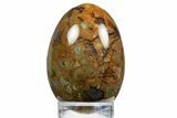 Polished Rainforest Jasper (Rhyolite) Egg - Australia #312698-1